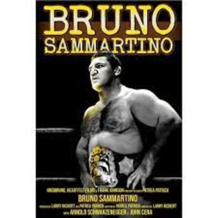 Bruno Sammartino Biography, Age, Height, Wife, Net Worth, Family