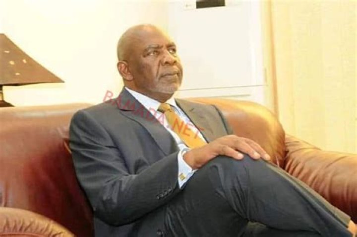 Cheick Modibo Diarra Biography, Age, Height, Wife, Net Worth, Family