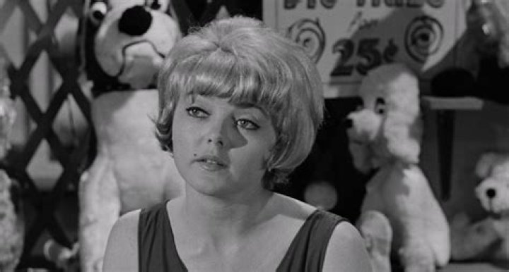 Diane Sayer Biography, Age, Height, Husband, Net Worth, Family