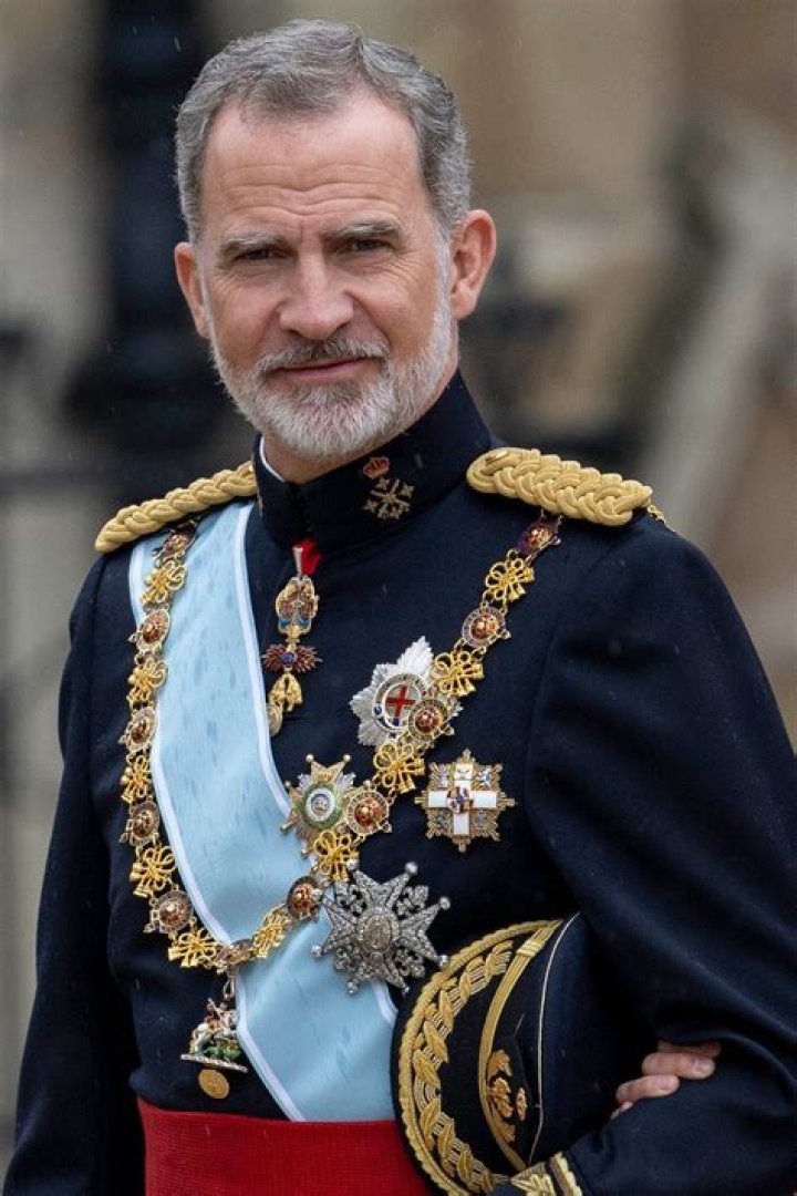 Felipe VI of Spain Biography, Age, Height, Wife, Net Worth, Family