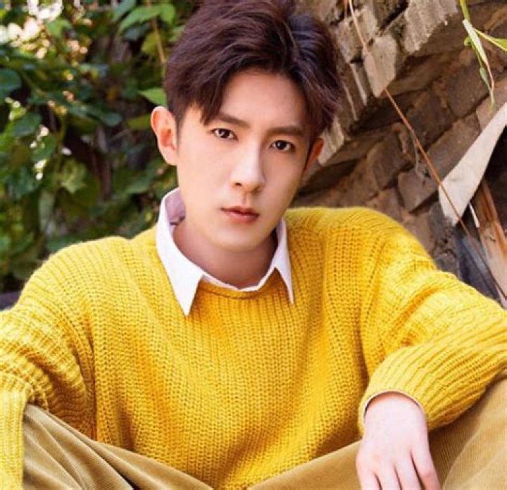 Ji Xiaobing Biography, Age, Height, Wife, Net Worth, Family
