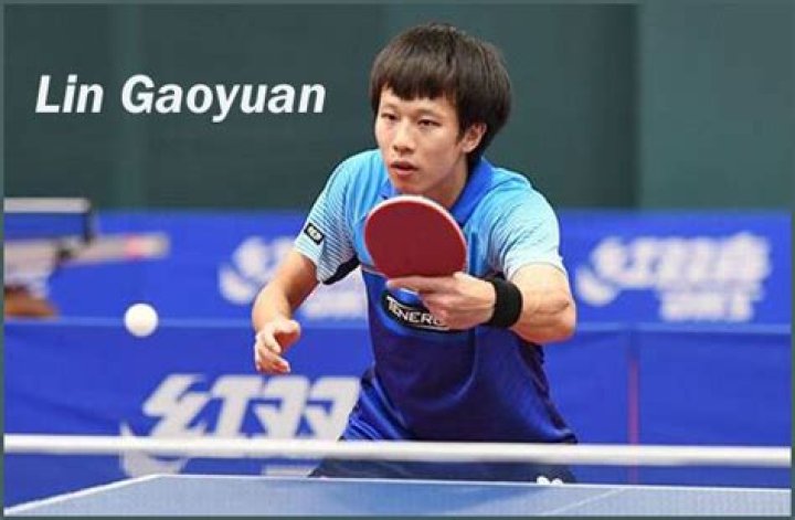 Lin Gaoyuan Biography, Age, Height, Wife, Net Worth, Family