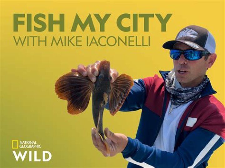 Michael Iaconelli biografía, edad, altura, esposo, net worth, familia