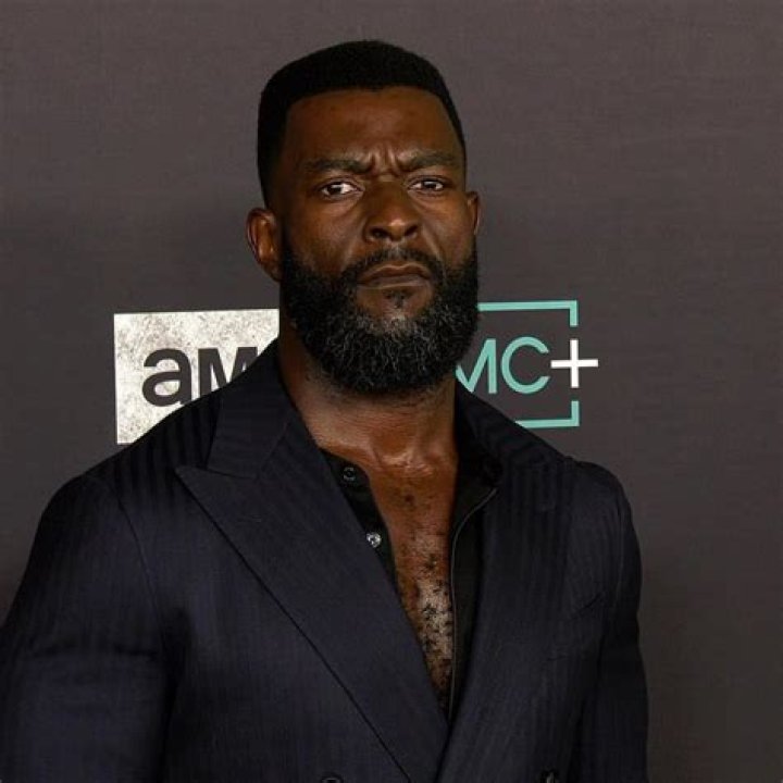 Michael James Shaw Biography, Age, Height, Wife, Net Worth, Family