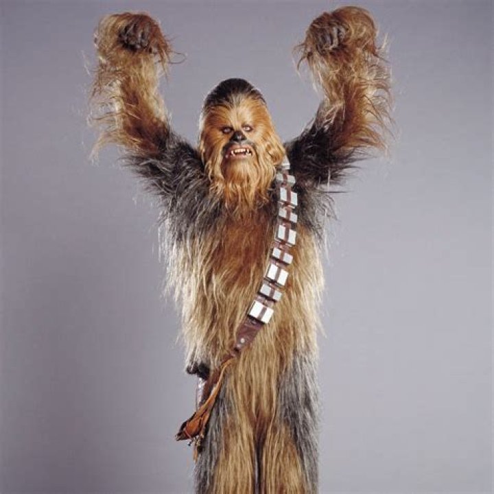 Peter Mayhew biografía, edad, altura, esposo, net worth, familia