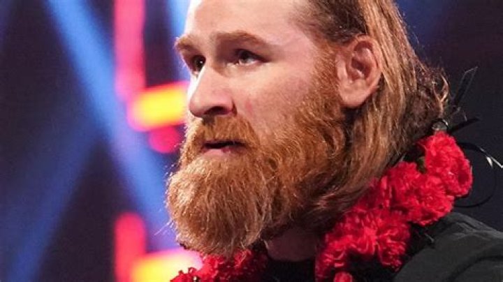 Sami Zayn Biography, Age, Height, Wife, Net Worth, Family