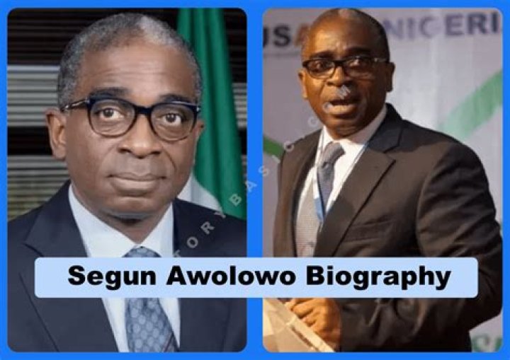Segun Awolowo Biography, Age, Height, Wife, Net Worth, Family