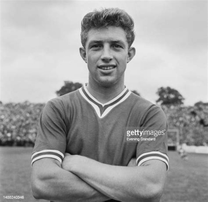 Steve Gammon biografía, edad, altura, esposo, net worth, familia