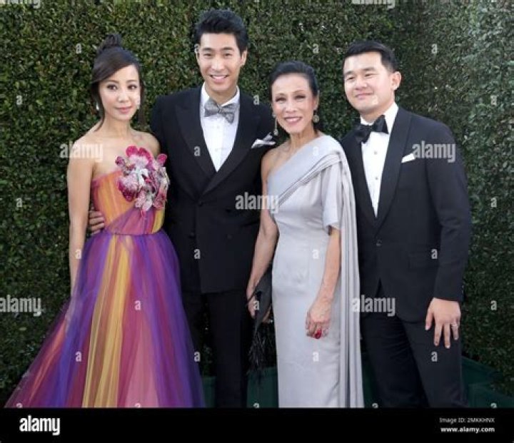 Tan Kheng Hua Biography, Age, Height, Husband, Net Worth, Family
