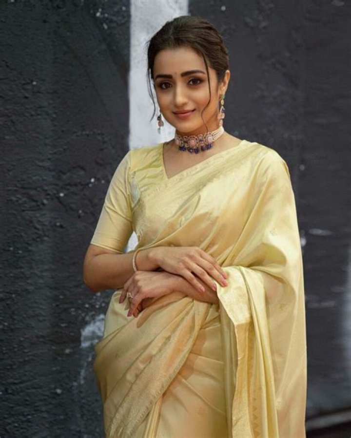 Trisha Krishnan Biography, Age, Height, Husband, Net Worth, Family
