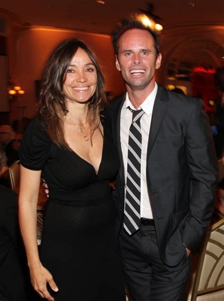 Walton Goggins Biography, Age, Height, Wife, Net Worth, Family