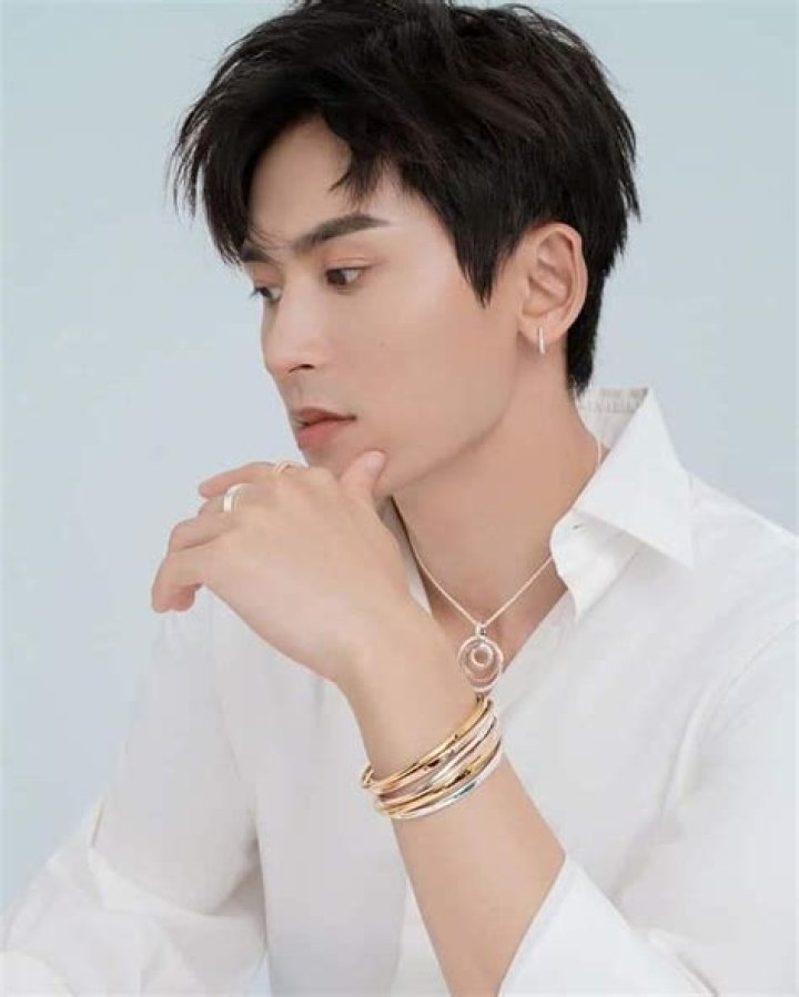 Zhang Zhehan Biography, Age, Height, Wife, Net Worth, Family